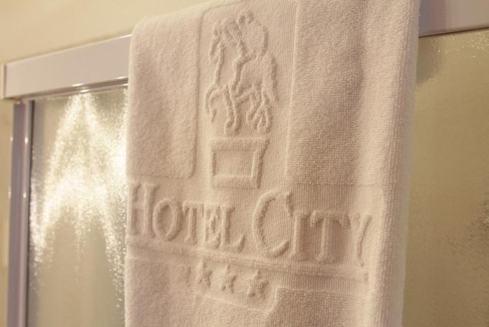 Hotel City ピアチェンツァ 部屋 写真